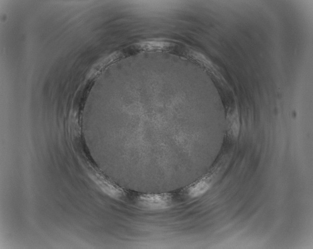 X0000067950381200604131442