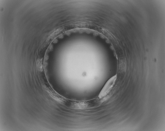 X0000067950383200604131442