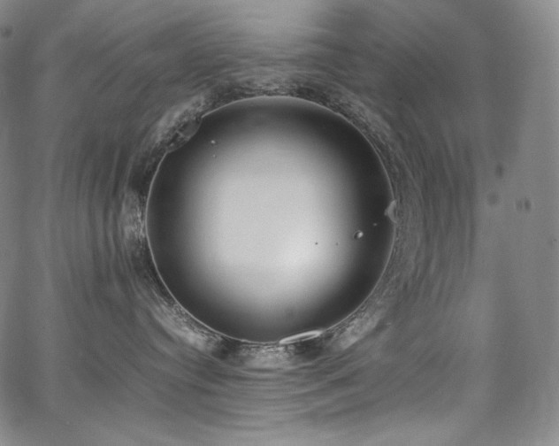 X0000067950384200604131442