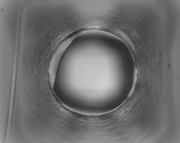 X0000067950385200604131441