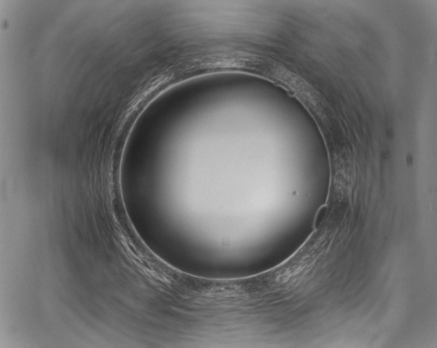 X0000067950386200604131441