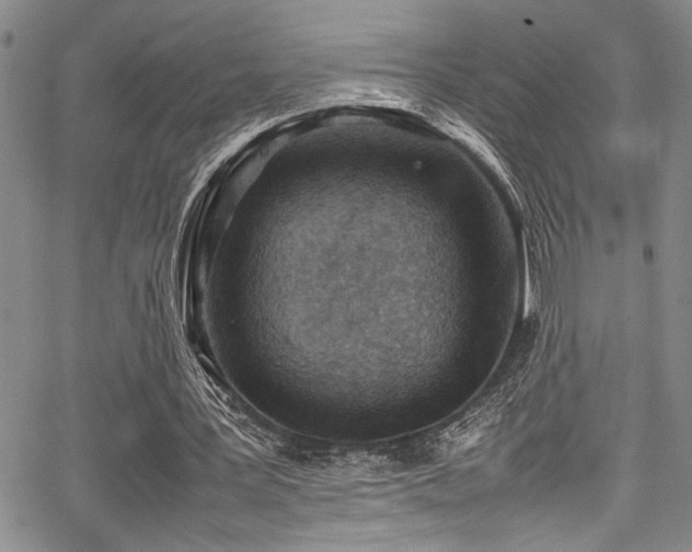 X0000067950387200604131441