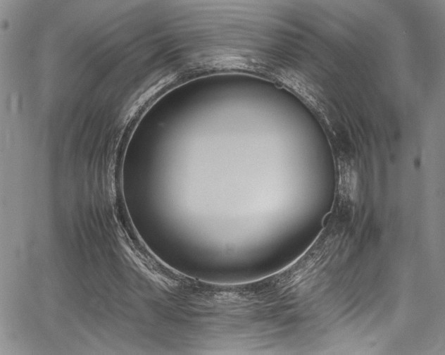 X0000067950390200604131441