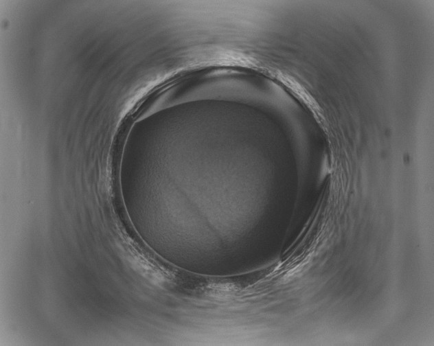 X0000067950391200604131441