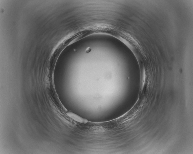 X0000067950392200604131441