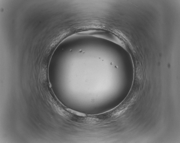 X0000067950393200604131441