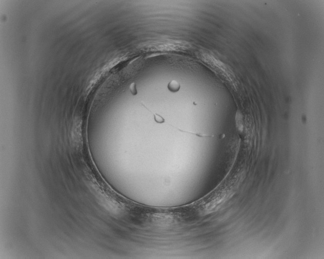 X0000067950394200604131441