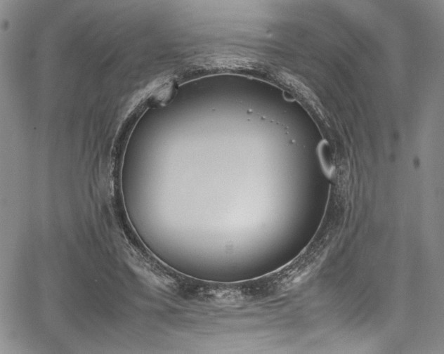 X0000067950395200604131441