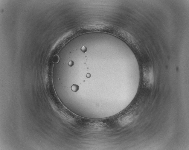 X0000067950396200604131441