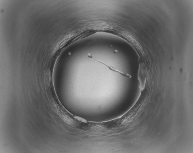 X0000067950397200604131441