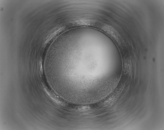 X0000067950398200604131441