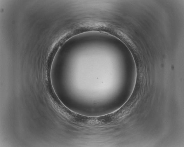 X0000067950399200604131441