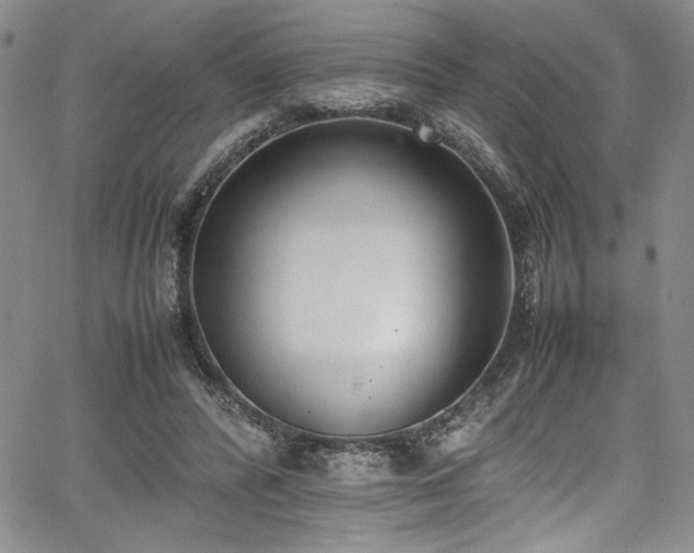 X0000067950400200604131440