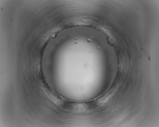 X0000067950402200604131440