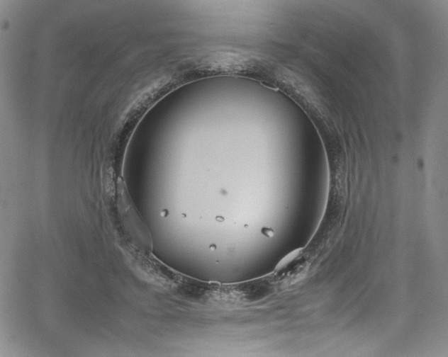 X0000067950403200604131440