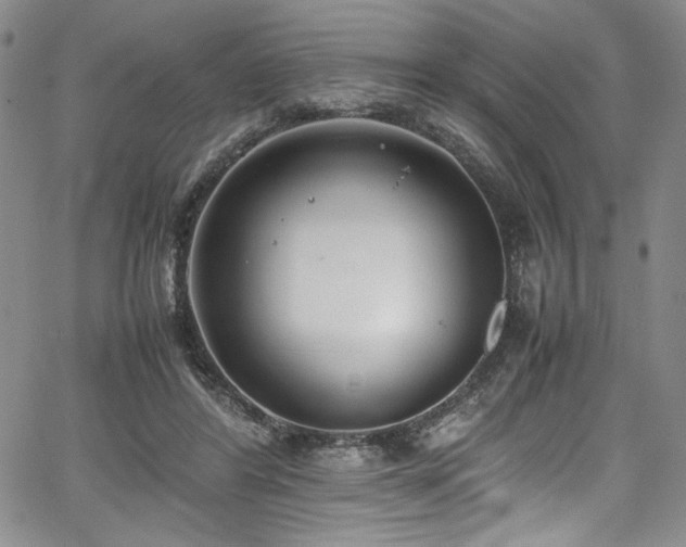 X0000067950404200604131440