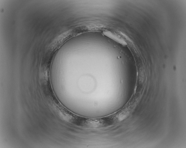 X0000067950405200604131440