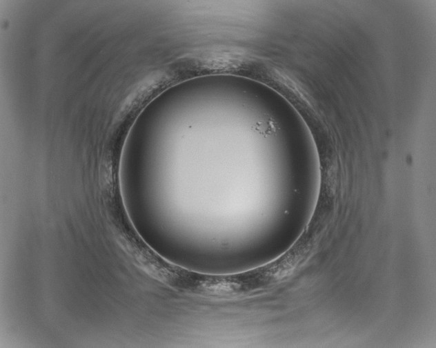 X0000067950407200604131440