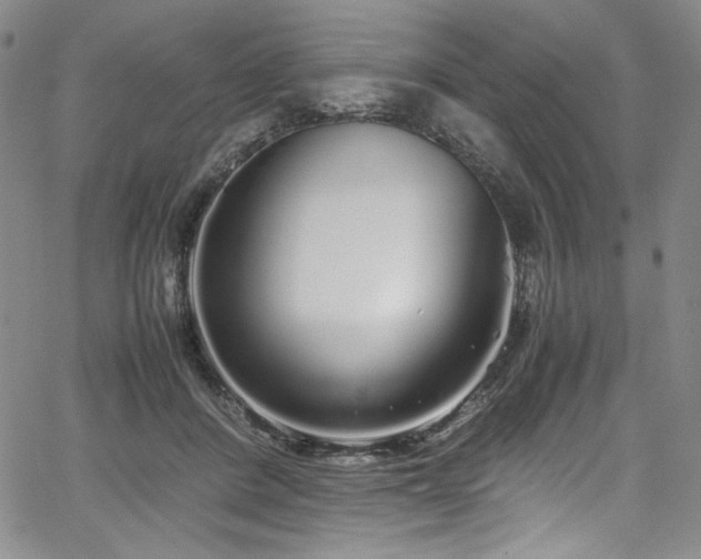 X0000067950408200604131440