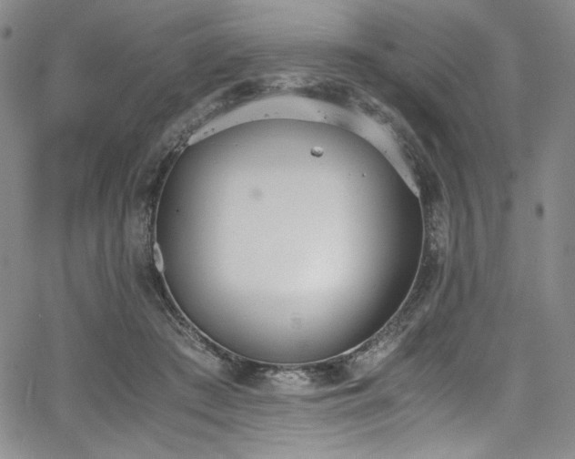 X0000067950409200604131440