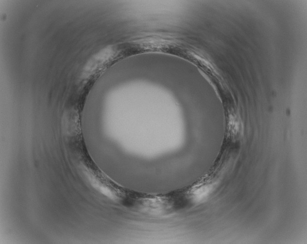 X0000067950411200604131440