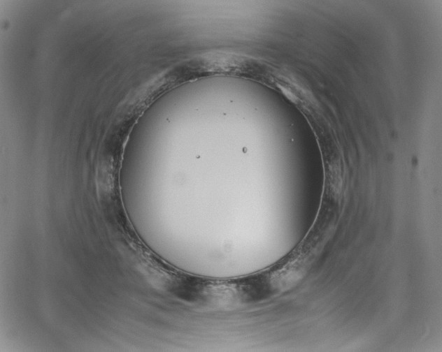 X0000067950413200604131440