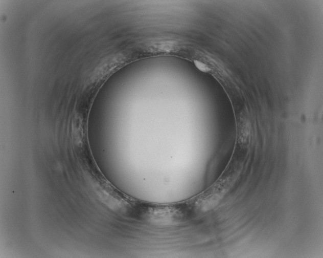 X0000067950414200604131440