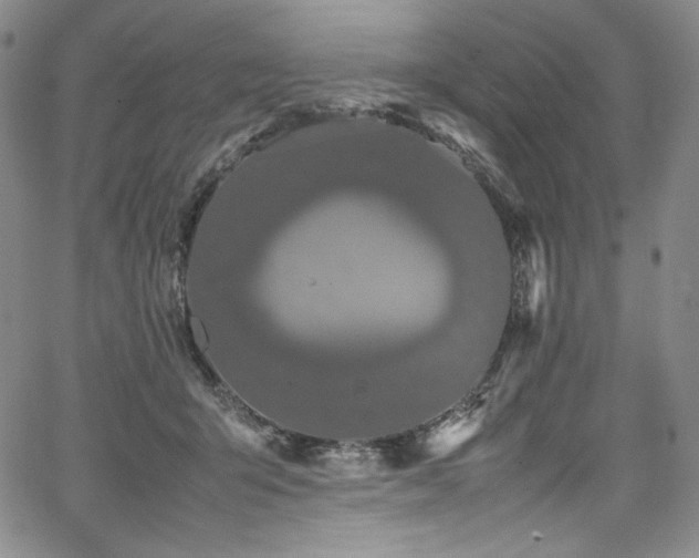 X0000067950415200604131440