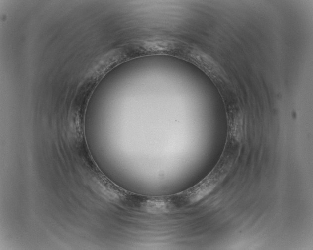 X0000067950418200604131440