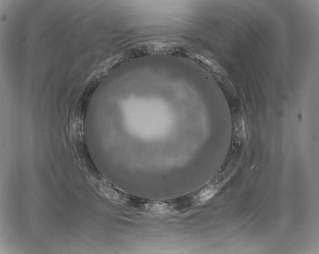 X0000067950419200604131440