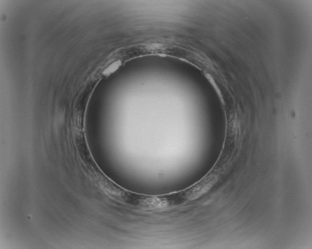 X0000067950421200604131440