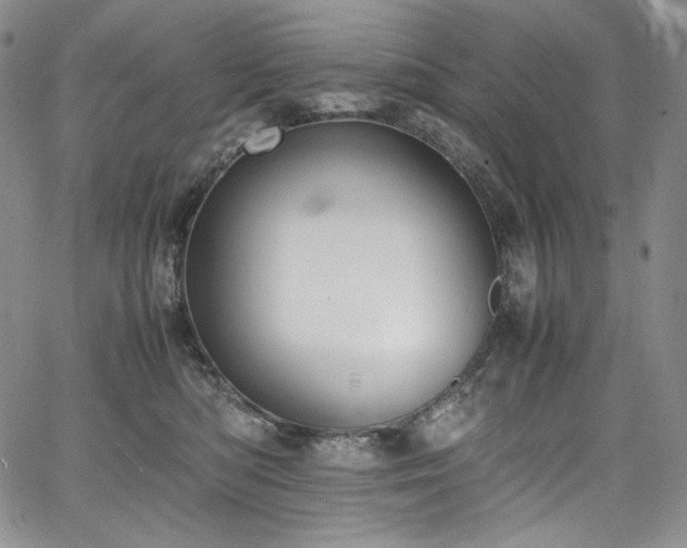 X0000067950422200604131440