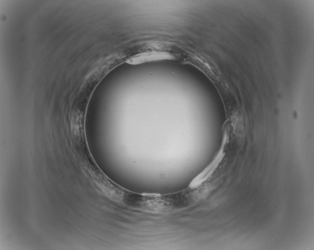 X0000067950423200604131440