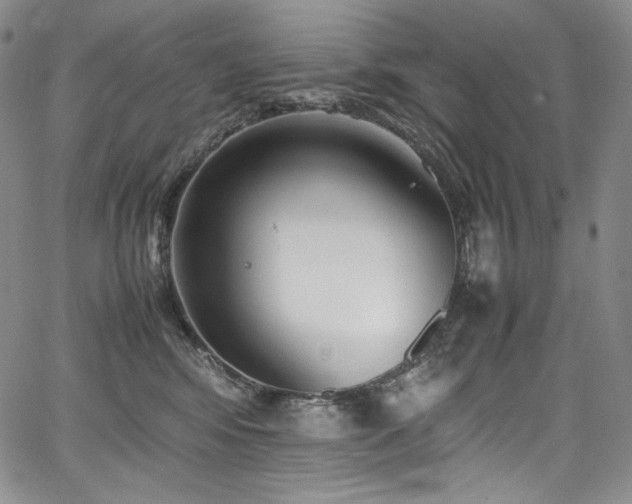 X0000067950424200604131440