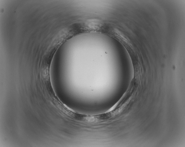 X0000067950425200604131440