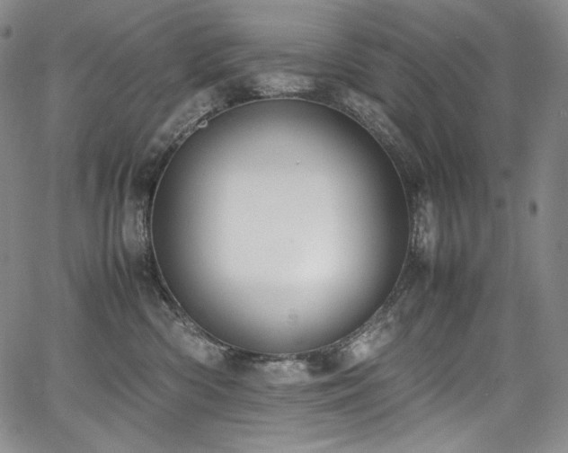 X0000067950426200604131440