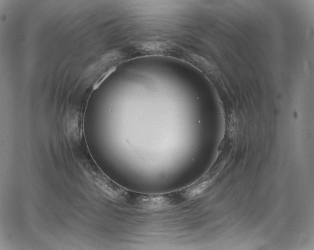 X0000067950428200604131440