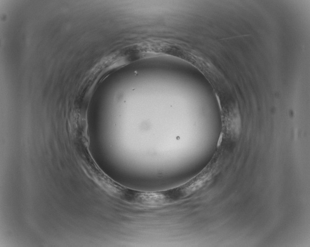 X0000067950429200604131440