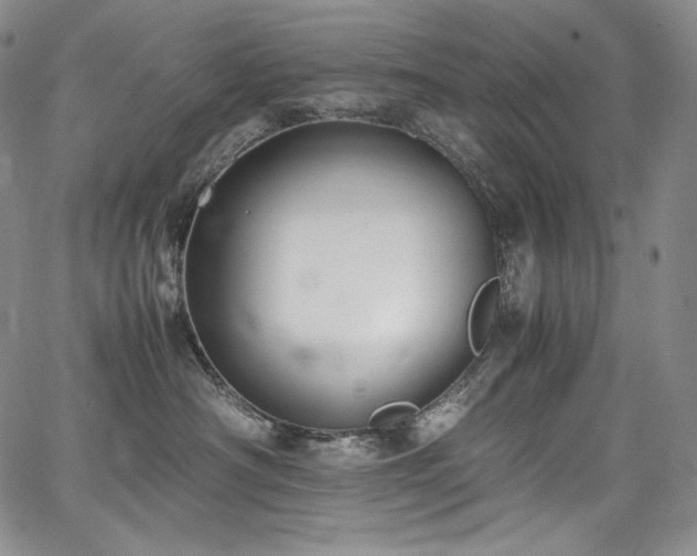 X0000067950430200604131440