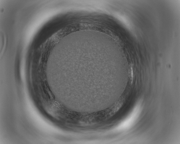 X0000067950431200604131440