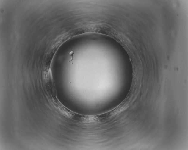 X0000067950432200604131440