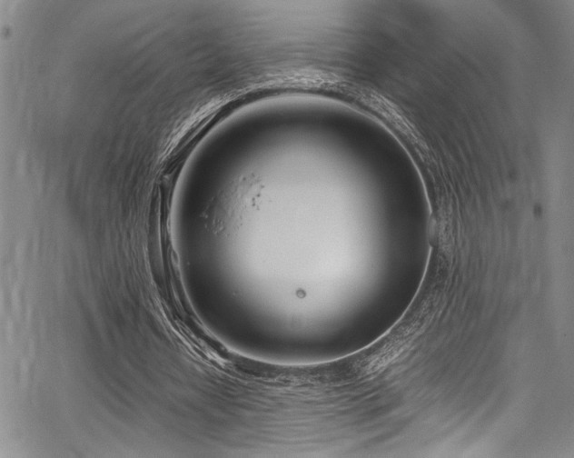 X0000067950434200604131439