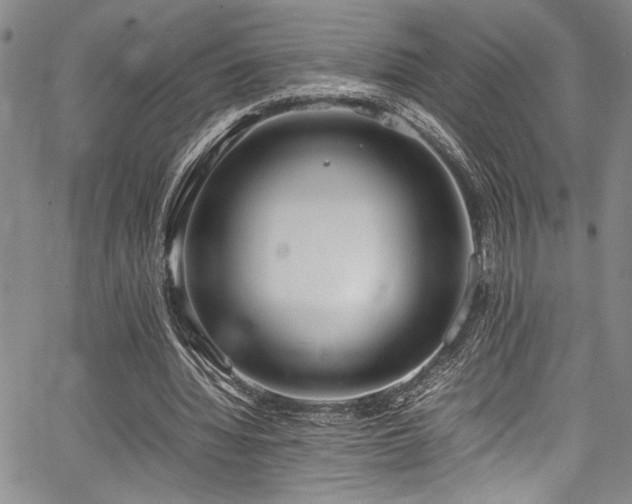 X0000067950436200604131439