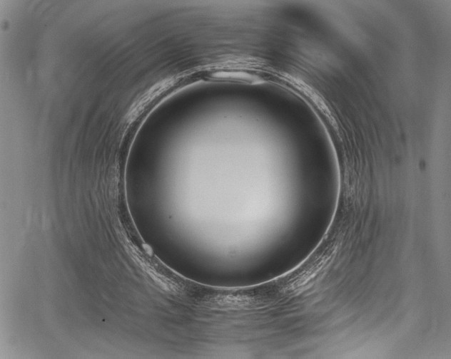 X0000067950437200604131439