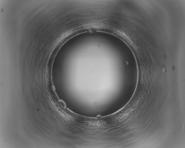 X0000067950439200604131439