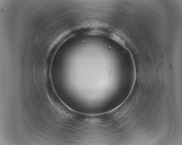 X0000067950440200604131439