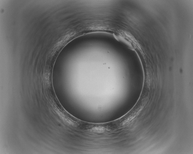 X0000067950441200604131439