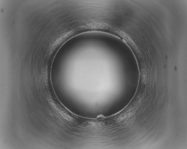 X0000067950442200604131439