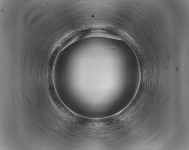 X0000067950444200604131439