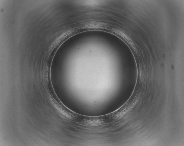 X0000067950445200604131439